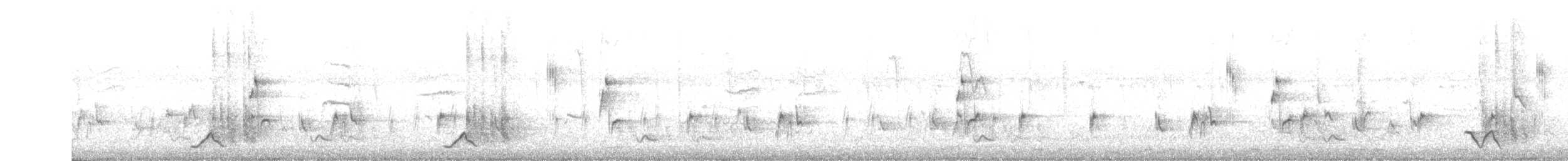 Cistícola Cantor - ML646903369