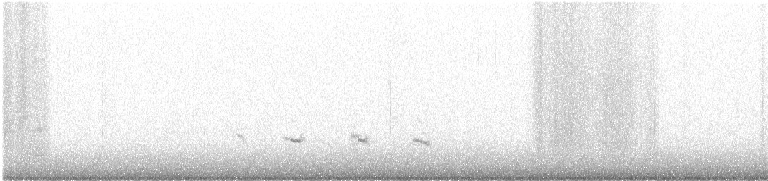 Red-shouldered Hawk - ML646903563