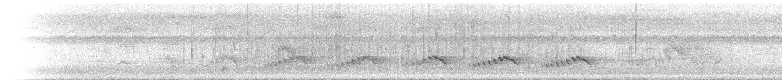 Oruguero Variable - ML646903723