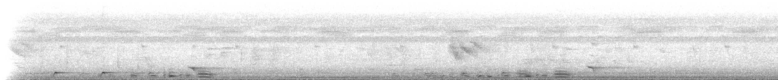 Verdugo Negro - ML646903731