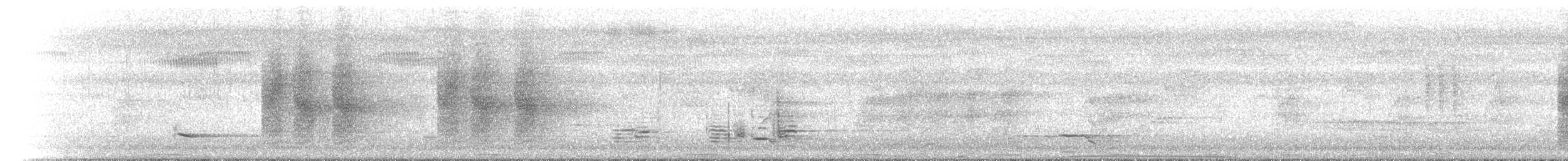 Spangled Drongo - ML646903736