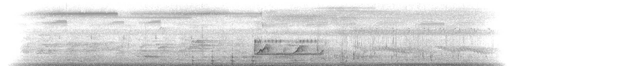 Little Black Cormorant - ML646903740