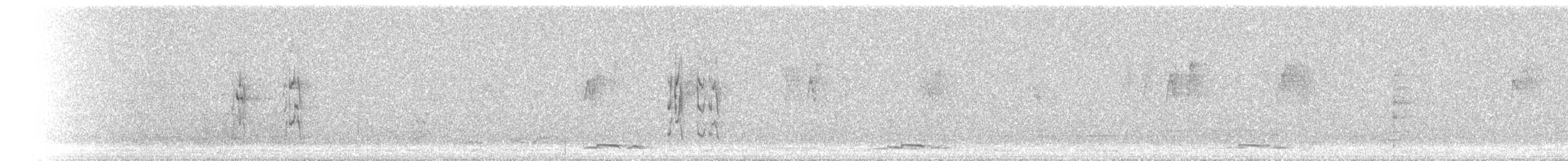 Salangana Australiana - ML646903855