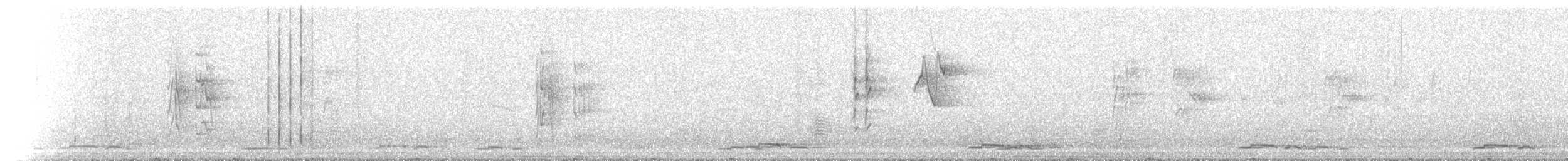 Salangana Australiana - ML646903857