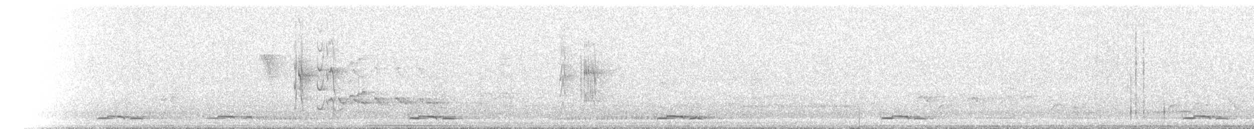 Salangana Australiana - ML646903858