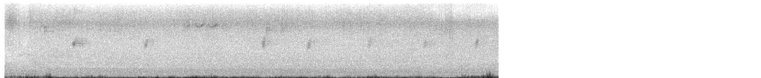 White-throated Dipper - ML646904785