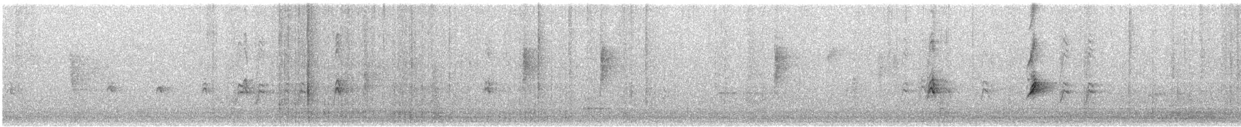 Capucin damier - ML646905186