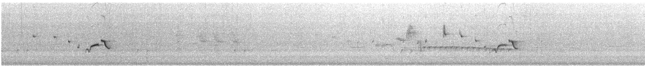 Weebill - ML646905921