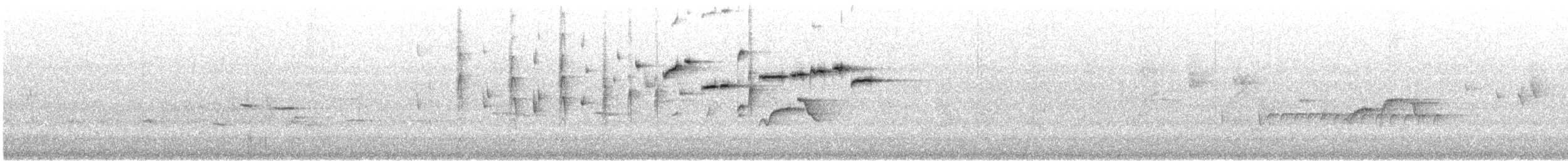 Gray Fantail (preissi) - ML646905925