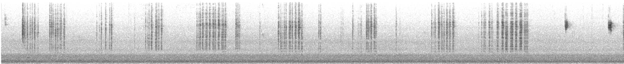 Spotted Scrubwren - ML646905967