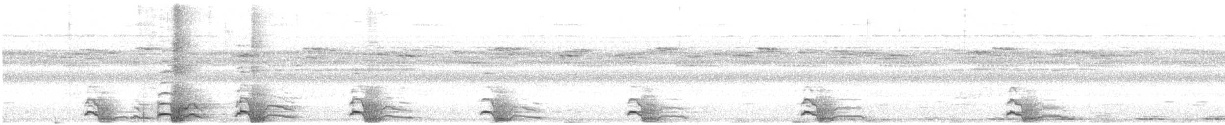 Spix's Guan - ML646907255