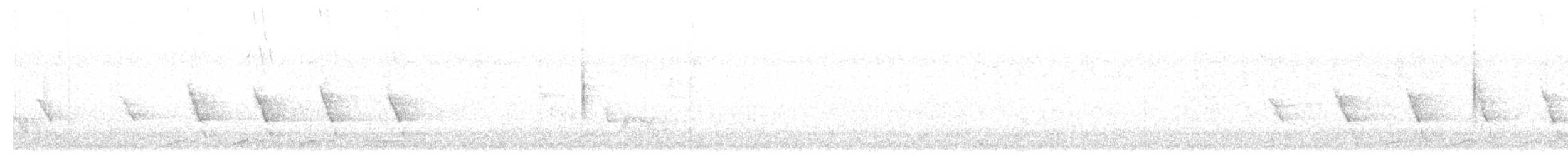 Cardinal rouge - ML646907581