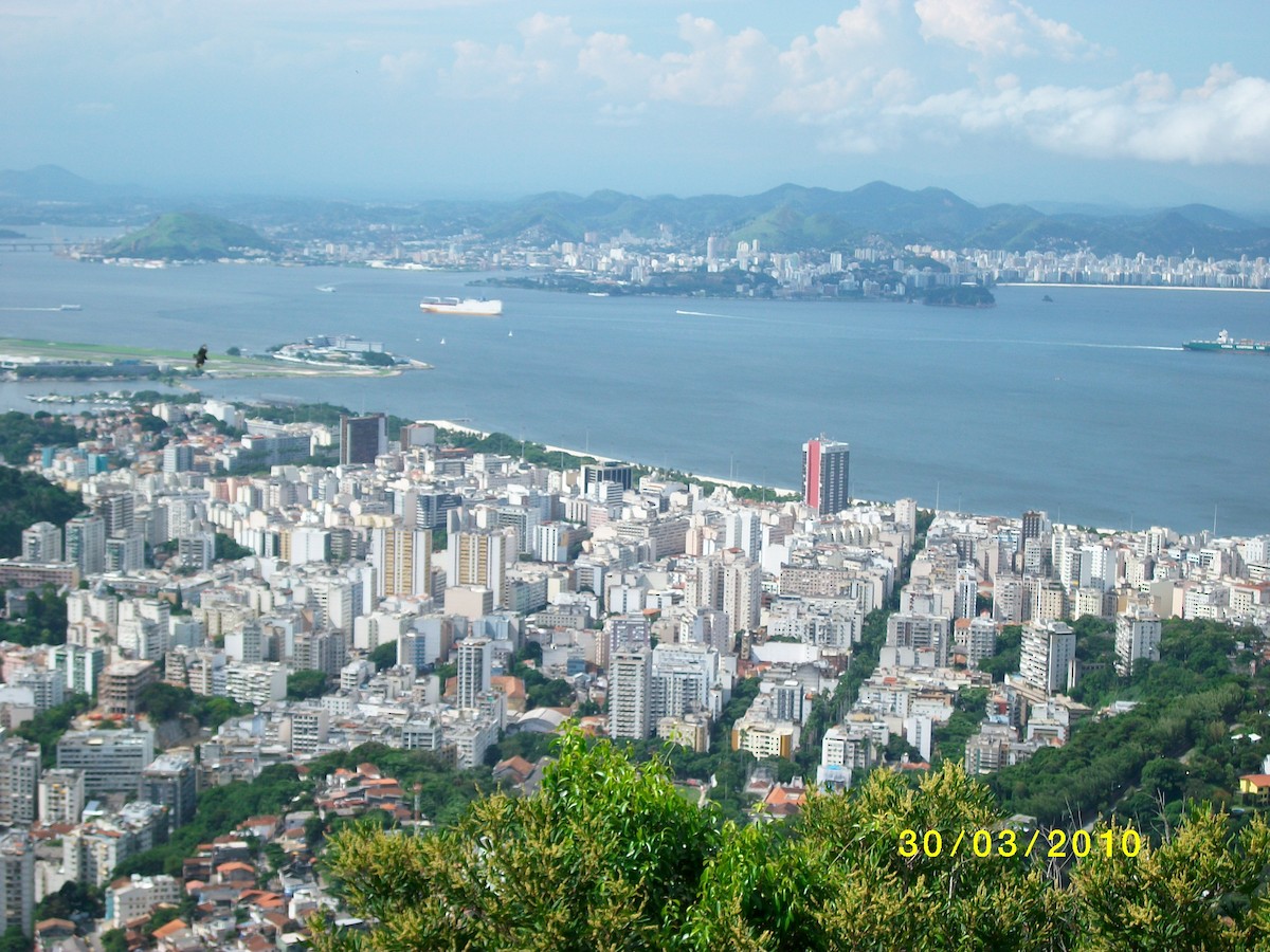 Short-tailed Hawk - ML646907625