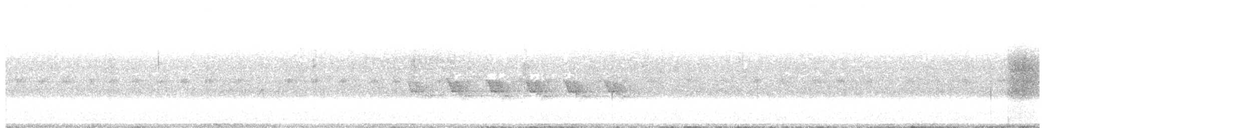 סבכון קנטקי - ML646907690