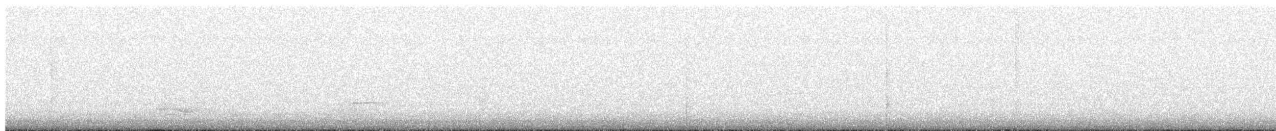 Сивка звичайна - ML646907709