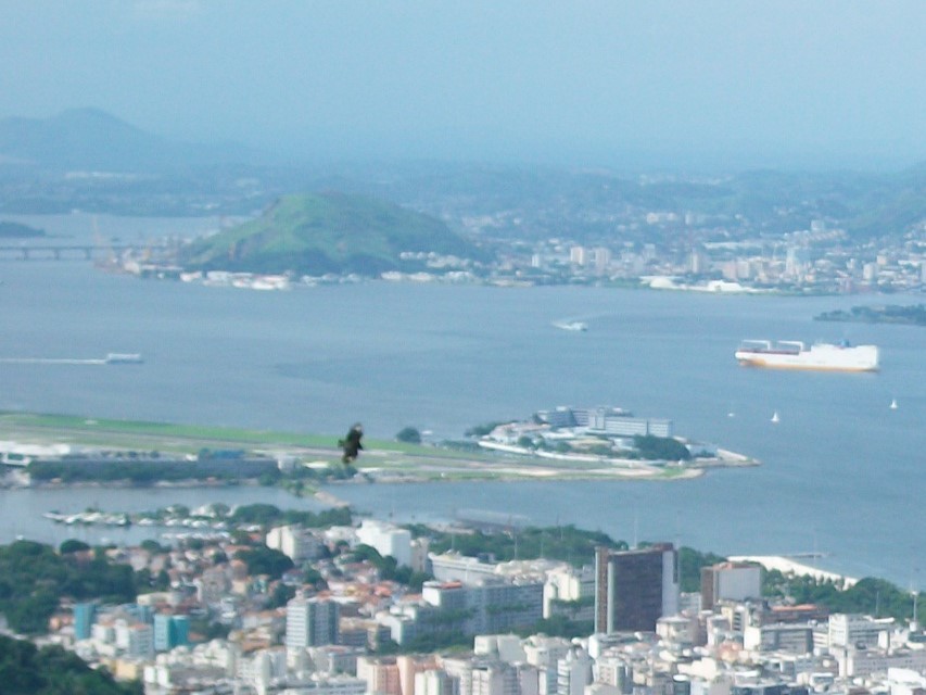 Short-tailed Hawk - ML646907712