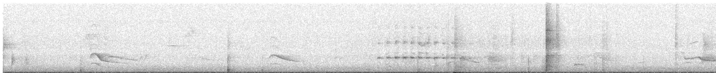 Buse variable - ML646907767