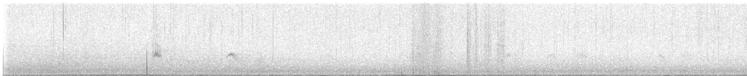 Mokolodi bekainoria - ML646907904