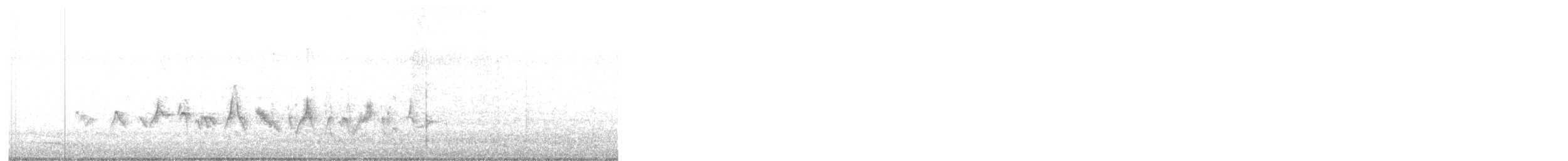 papežík modrý - ML646908270