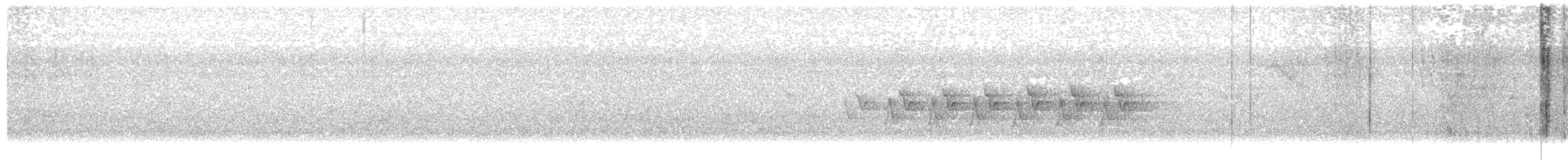 סבכון קנטקי - ML646908349