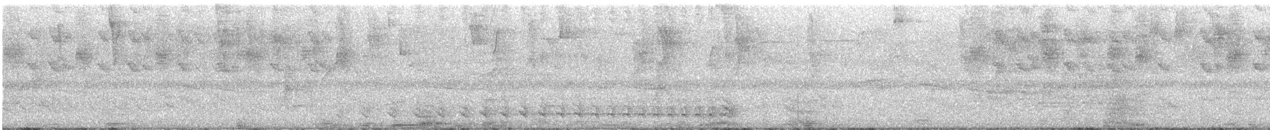 Bindenameisenwürger - ML646908416