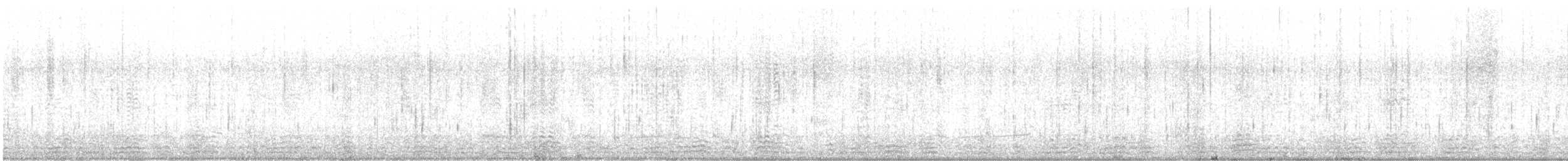 berneška tmavá - ML646908445