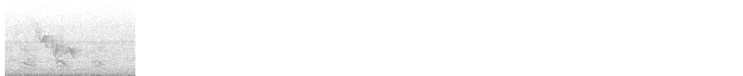 Амазон зеленощокий - ML646908749