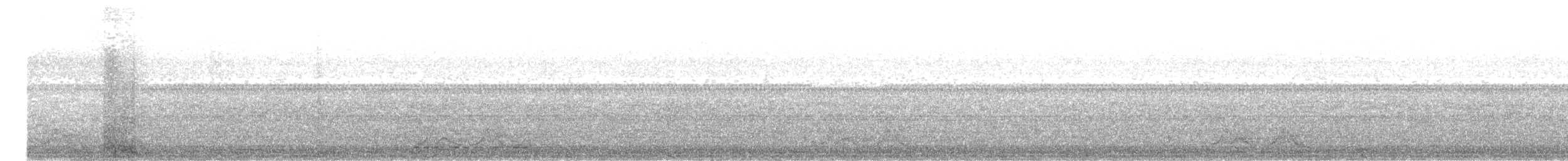 Carolinanachtschwalbe - ML646908870