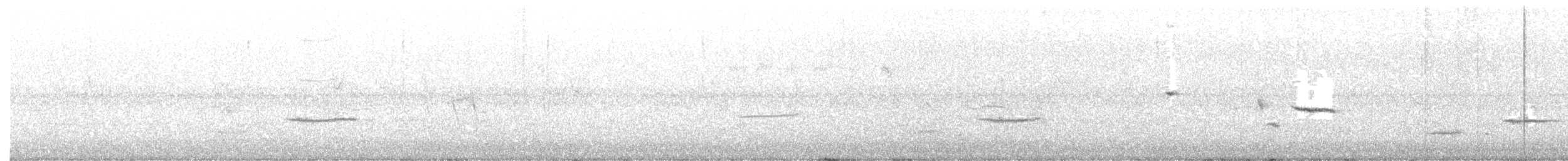 šatovník karmínový - ML646908883