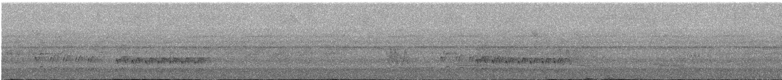 Weißaugen-Baumspäher - ML646909221