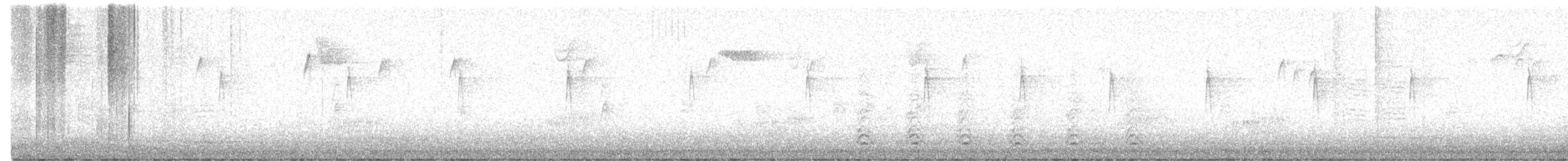 Neuweltammer, unbestimmt - ML646909819