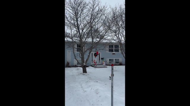 Dark-eyed Junco - ML646909833