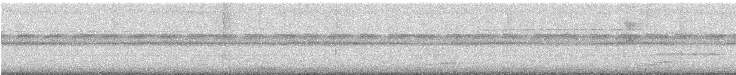 Social Flycatcher - ML646909987