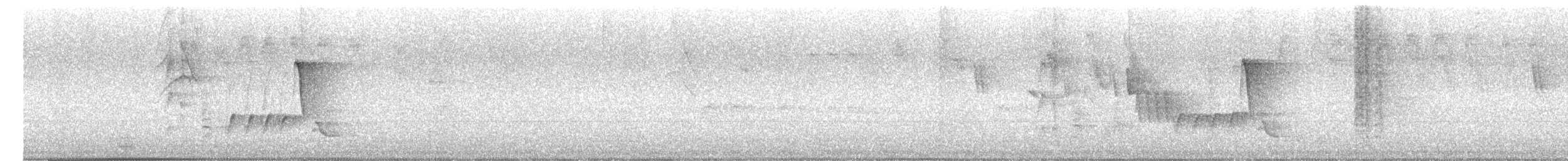 Southern House Wren - ML646910778