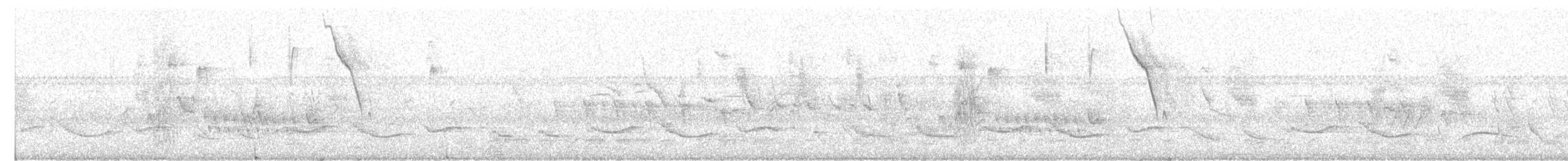 Rotbauchdrossel - ML646910799