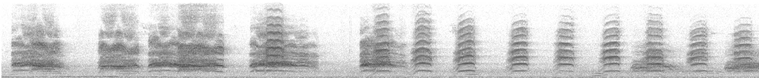 Lachmöwe - ML646910842