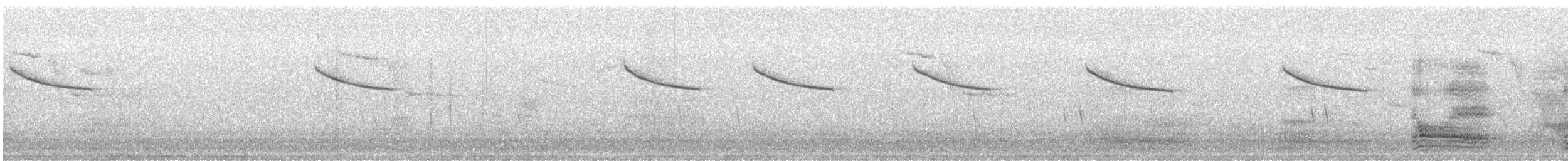 Beutelmeise - ML646910851