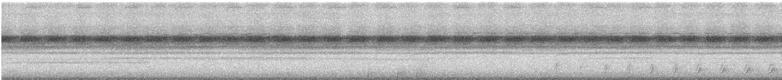 Brasilzwergkauz - ML646910997