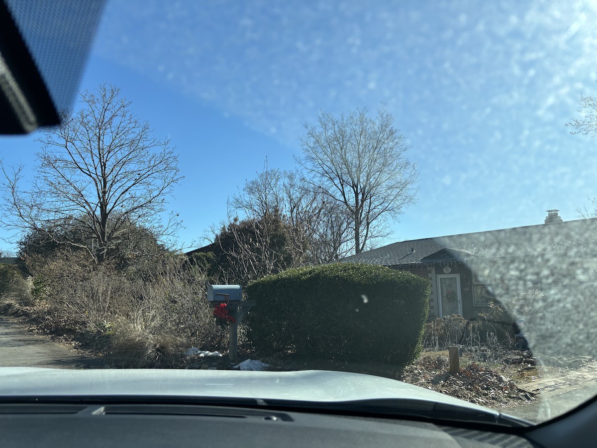 Passera oltremontana - ML646911094