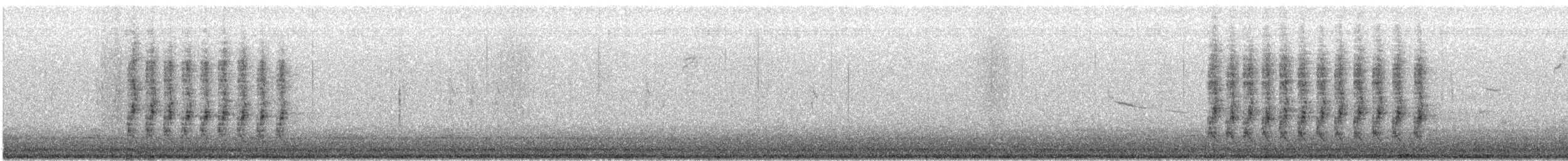 Steller's Jay (Southwest Interior) - ML646911334