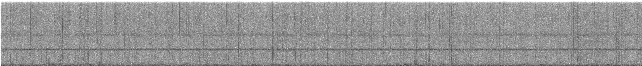 キバラオオタイランチョウ - ML646911373