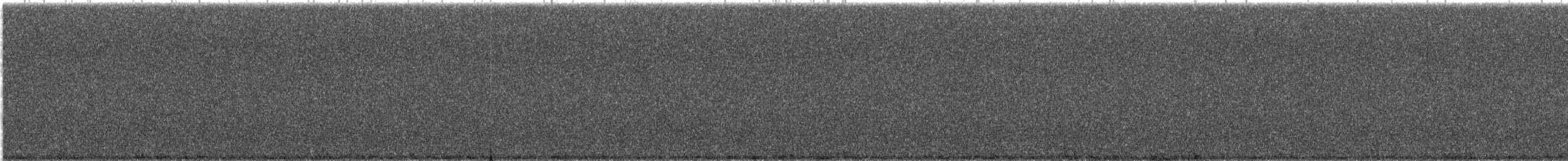 アカボウシヒタキモドキ - ML646911385