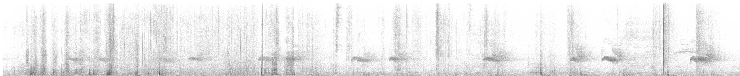 Hormiguero Cejiblanco - ML646911868