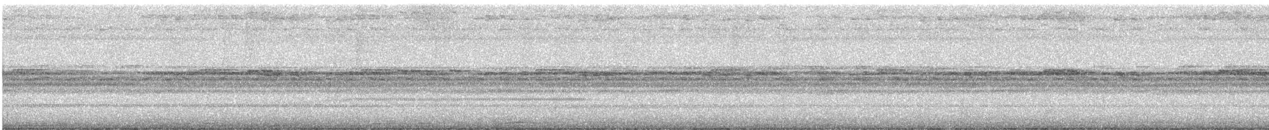 Toui à menton d'or - ML646913011