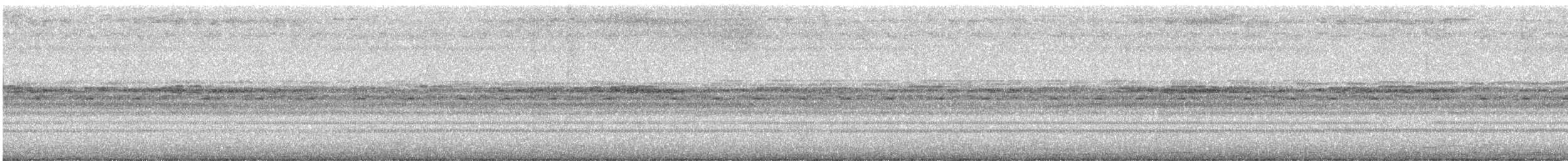 Toui à menton d'or - ML646913012