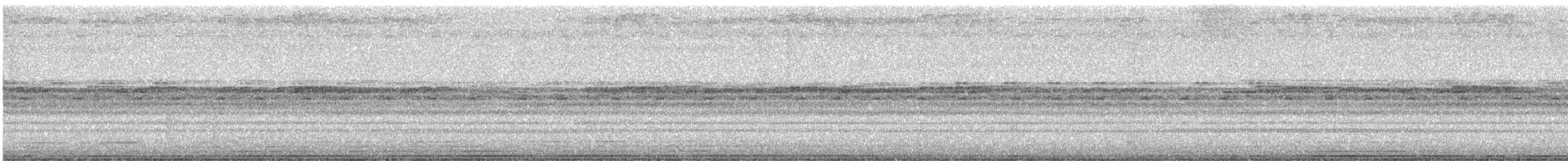 Toui à menton d'or - ML646913016