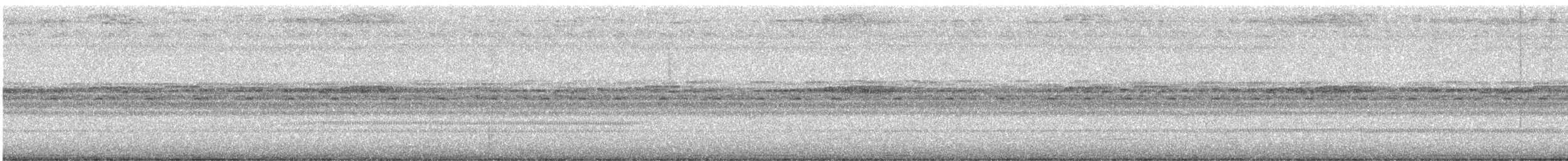 Toui à menton d'or - ML646913017