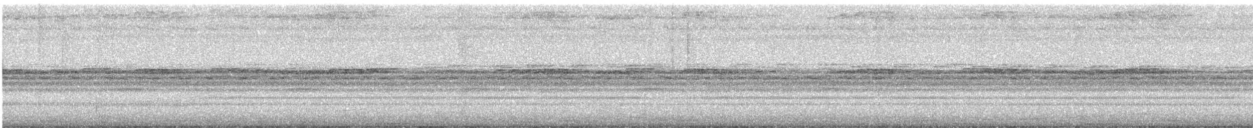 Toui à menton d'or - ML646913018