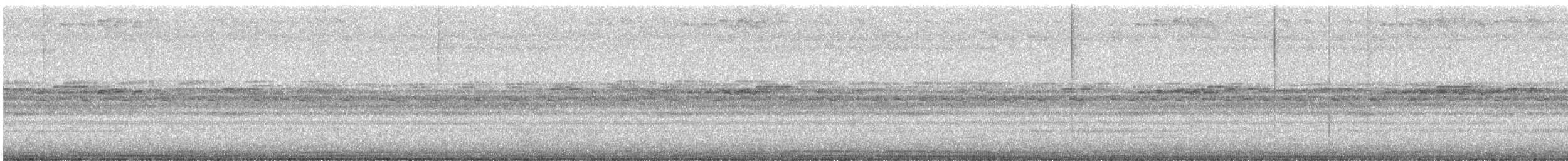 Tyran quiquivi - ML646913028