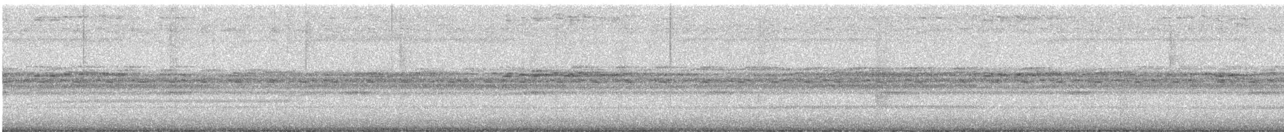 Tyran quiquivi - ML646913030